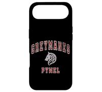 Carcasa para iPhone Air Distressed Greymanes Crimson Desert Pywel Funny Design