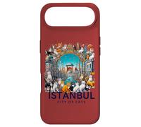 Carcasa para iPhone Air Estambul - City of Cats: Arte Turco