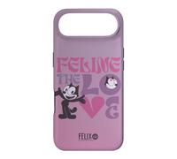 Carcasa para iPhone Air Felix The Cat Feline The Love