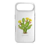 Carcasa para iPhone Air Ilustración de Planta de Cactus Oreja de Conejo Opuntia microdasys