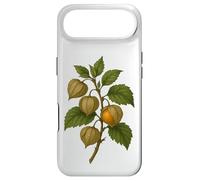 Carcasa para iPhone Air Impresión artística Vintage botánica Physalis Golden Berry