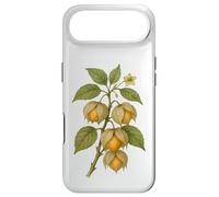 Carcasa para iPhone Air Impresión artística Vintage botánica Physalis Nature Fruit
