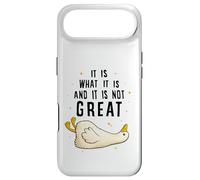 Carcasa para iPhone Air It is What it is and it is Not Great Funny Silly Goose Meme