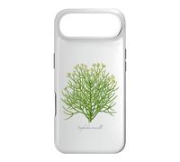 Carcasa para iPhone Air Lápiz Ilustración de Planta de Cactus Euphorbia tirucalli