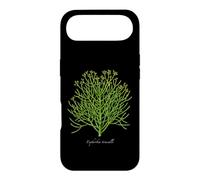Carcasa para iPhone Air Lápiz Ilustración de Planta de Cactus Euphorbia tirucalli