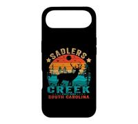Carcasa para iPhone Air Parque Estatal Sadlers Cr arolina del Sur, EE. UU., Puesta de Sol Retro