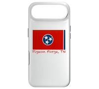 Carcasa para iPhone Air Pigeon Forge, Recuerdo de la Bandera de Estados Unidos de Tennessee