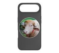 Carcasa para iPhone Air Rare Albino Buffalo in Bangladesh Named After The President