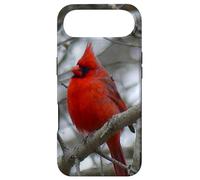 Carcasa para iPhone Air Regalo Inspirador Heaven Sends Birds A Sign Cardinal