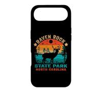 Carcasa para iPhone Air Souvenir Retro al Atardecer en el Parque Estatal Raven Rock de Carolina del Norte