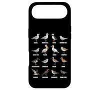 Carcasa para iPhone Air Tipos de Aves Playeras y Aves Marinas - Tabla de Especies de Aves costeras