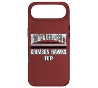 Carcasa para iPhone Air Universidad de Indiana Pennsylvania Hawks NCAA | VNPIUP301B
