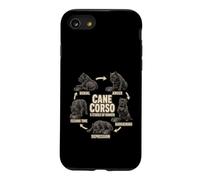 Carcasa para iPhone SE (2020) / 7/8 Cane Corso 5 Etapas del Hambre Divertido Regalo Amante de los Perros