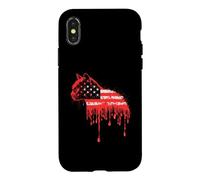 Carcasa para iPhone X/XS Cat American Flag USA Drip Graffiti Amante