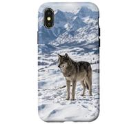 Carcasa para iPhone X/XS Fotografía De Paisaje del Valle Alpino De La Mont