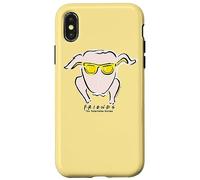 Carcasa para iPhone X/XS Friends Hip Turkey