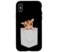 Carcasa para iPhone X/XS Lindo Deslizador de azúcar Regalo exótico Mascota Sugar Bear Sugar Glider