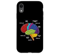 Carcasa para iPhone XR Anatomía del Cerebro Humano Neurociencia etiquetados lóbulos de la Corteza