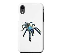 Carcasa para iPhone XR Araña Tarántula Babuino Azul Isla Socotra (M. balfouri)