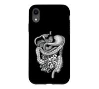 Carcasa para iPhone XR Cuerpo Humano Órganos internos Anatomía Gráfico Regalo Hombres Mujeres