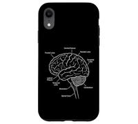 Carcasa para iPhone XR Diagrama etiquetado de neurociencia anatomía del Cerebro Humano