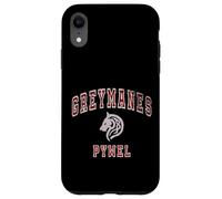 Carcasa para iPhone XR Distressed Greymanes Crimson Desert Pywel Funny Design