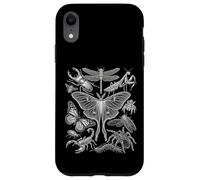 Carcasa para iPhone XR Entomología Especies de Insectos Formas Naturales Centro Enfoque Estudio
