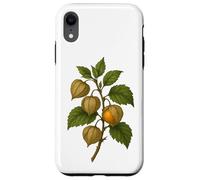 Carcasa para iPhone XR Impresión artística Vintage botánica Physalis Golden Berry