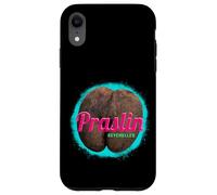 Carcasa para iPhone XR Praslin diseño Vintage Isla Tropical Seychelles Souvenir