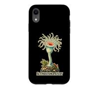 Carcasa para iPhone XR Scyphistoma Study Pólipo Medusa Zoología Marina