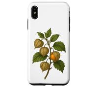 Carcasa para iPhone XS MAX Impresión artística Vintage botánica Physalis Golden Berry