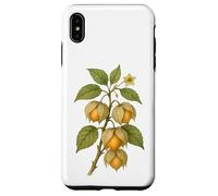 Carcasa para iPhone XS MAX Impresión artística Vintage botánica Physalis Nature Fruit