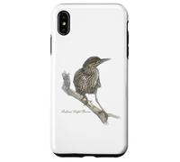 Carcasa para iPhone XS MAX Rufous Night Garza Hermosa Ornitología de Aves Silvestres