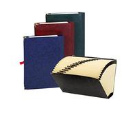 Carchivo - carpeta archivador acordeón de cartón con 20 departamentos, color negro