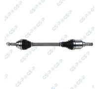 Cardán GSP 203829