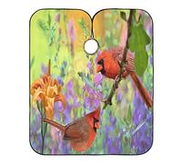 Cardenal Norteño Barbero Capas Ligera Cortar Cabello Delantal Impermeable Capas De Corte Peluqueria Para Adulto Peluquería Peluquero 140X168Cm