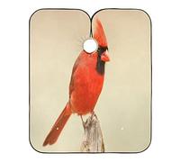 Cardenal Norteño Barberos Delantal Ligera Capa Peluqueria Impermeable Capas De Corte Peluqueria Para Peluquero Adulto Niños 140X168Cm