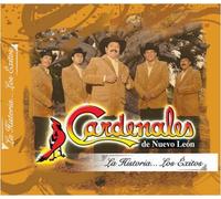 Cardenales De Nuevo Leon - Historia: Los Exitos