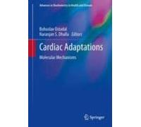 Cardiac Adaptations