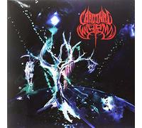 Cardinal Wyrm - Black Hole Gods - Coloured Edition [Vinilo]