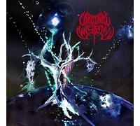 Cardinal Wyrm - Black Hole Gods [Vinilo]