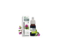 Cardo Mariano 50 Gr de Ynsadiet