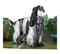 Cardología - Tarjeta emergente Cocker Spaniel | Tarjeta de cumpleaños de perro 3D, tarjetas del Día del Padre, tarjetas del Día de la Madre, tarjetas de felicitación | Hecho a mano