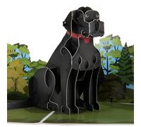 Cardología - Tarjeta emergente de Labrador negro | Tarjeta de cumpleaños de perro 3D, tarjetas del Día del Padre, tarjetas del Día de la Madre, regalos para amantes de los perros | Hecho a mano