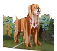 Cardología - Tarjeta emergente Golden Retriever | Tarjeta de cumpleaños de perro 3D, tarjetas del Día del Padre, tarjetas del Día de la Madre, regalos para amantes de los perros | Hecho a mano