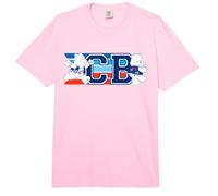 Care Bears 4th of July America Cares CB Stripes Comfort Colors Adult Heavyweight T-Shirt