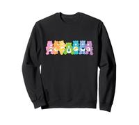 Care Bears Bear Spectrum Line Up Sudadera
