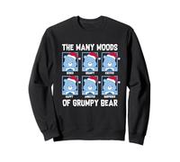 Care Bears Moods of Grumpy Bear Santa Hat Christmas Sudadera