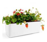 CAREDGO Jardinera de Autorriego con Indicador de Nivel de Agua, Macetero Rectangular de Autorriego de 40 x 13 x 13 cm Maceta de Autorriego Blanca de Plástico para Balcón Interior Exterior
