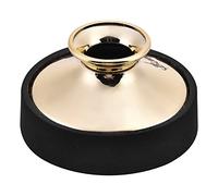 Caredy Mudo de saxofón Alto Silenciador de plástico Silenciador de saxofón Accesorio de eliminación de Ruido para saxofón Alto Ligero Plastic Sax Mute Saxophone Silencer(Oro)